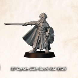 Elf Captain with Sword and Shield